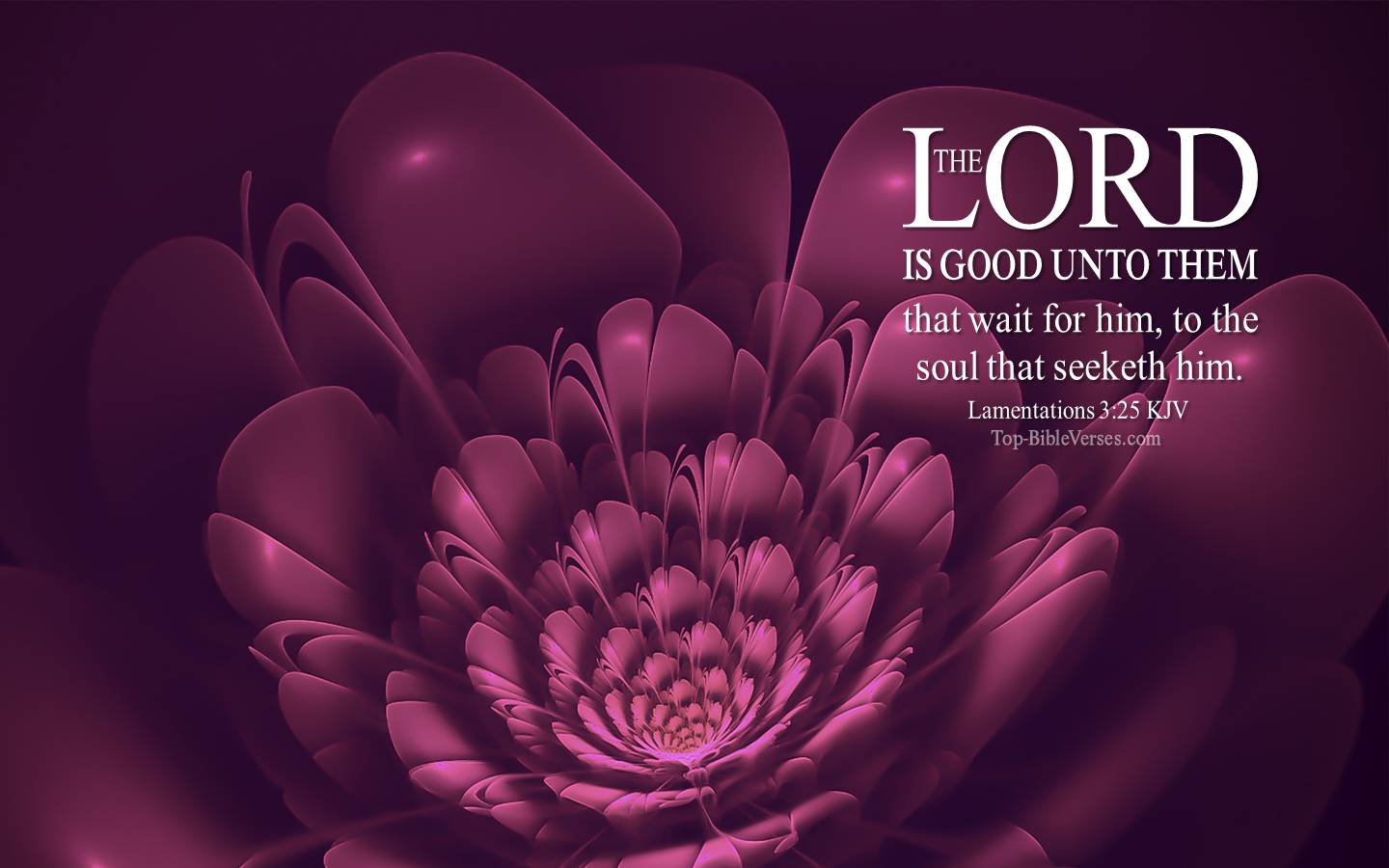 Lamentations 3:25 KJV Christian Bible Verse Desktop Wallpaper. Top-BibleVerses.com