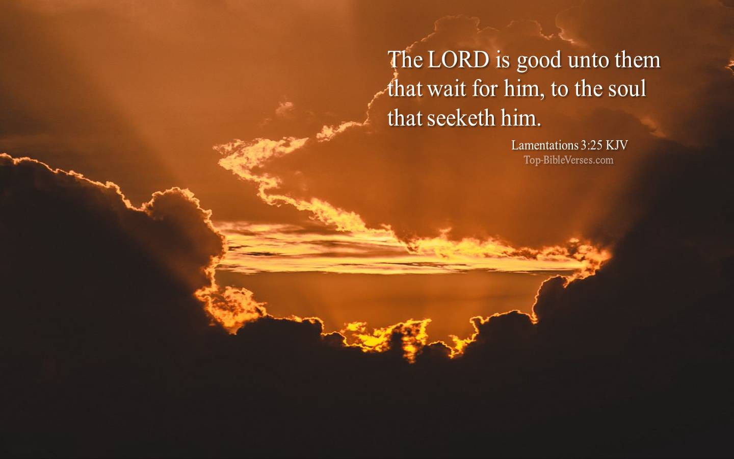 Lamentations 3:25 KJV Desktop Wallpapers | Bible Verse Wallpapers