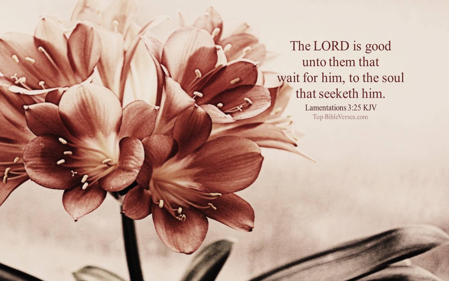 Lamentations 3:25 KJV Christian Bible Verse Desktop Wallpaper. Top-BibleVerses.com