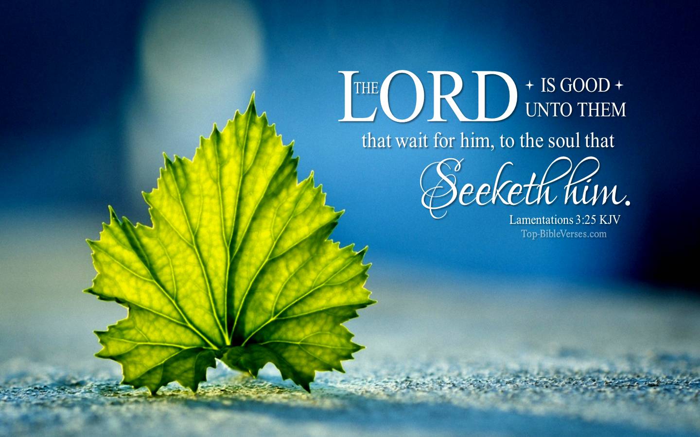 Lamentations 3:25 - The LORD is good unto them that wait for him. KJV Christian Bible Verse Desktop Wallpaper.
