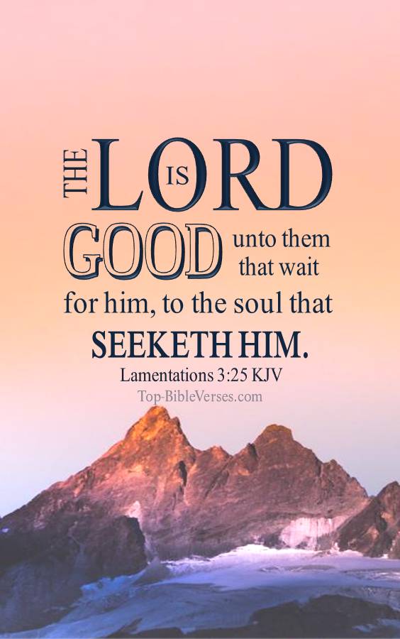 Lamentations 3:25 KJV Christian Bible Verse Mobile Wallpaper. Top-BibleVerses.com