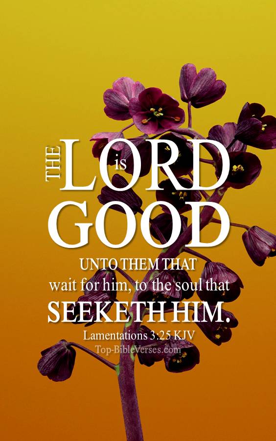 Lamentations 3:25 KJV Christian Bible Verse Mobile Wallpaper. Top-BibleVerses.com