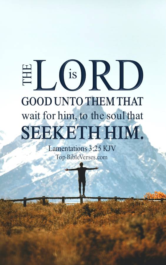 Lamentations 3:25 - The LORD is good unto them that wait for him. KJV Christian Bible Verse Mobile Wallpaper.