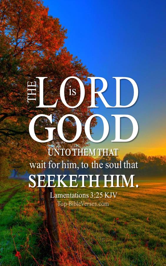 Lamentations 3:25 - The LORD is good unto them that wait for him. KJV Christian Bible Verse Mobile Wallpaper.
