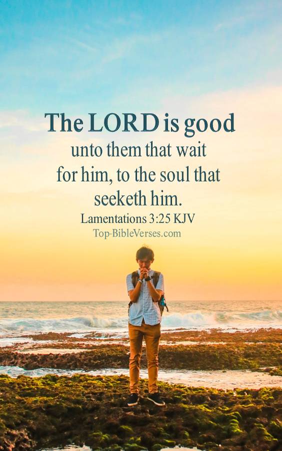 Lamentations 3:25 KJV Mobile Wallpapers | Bible Verse HD-Wallpapers