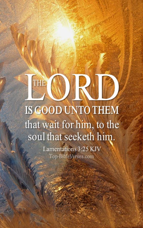 Lamentations 3:25 - The LORD is good unto them that wait for him. KJV Christian Bible Verse Mobile Wallpaper.