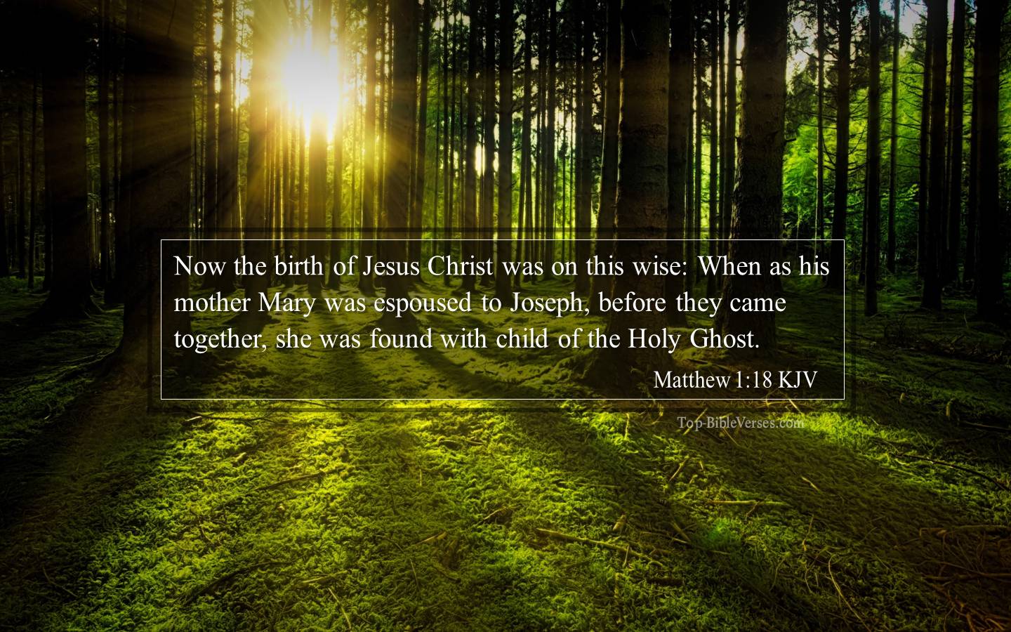 Matthew 1 KJV Bible Verse Desktop Images | Matthew 1 KJV Images