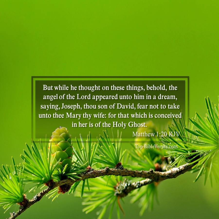 Matthew 1-20 KJV - But while he thought on these things, behold, the angel of the Lord appeared unto him in a dream, saying, Joseph, thou son of David, fear not to take unto thee Mary thy wife: for that which is conceived in her is of the Holy Ghost.