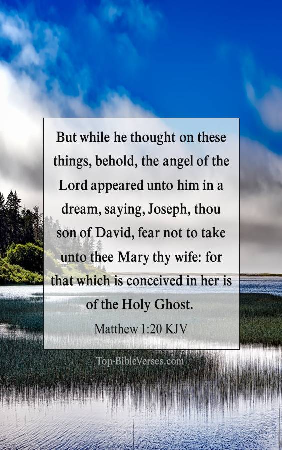 Matthew 1-20 KJV - But while he thought on these things, behold, the angel of the Lord appeared unto him in a dream, saying, Joseph, thou son of David, fear not to take unto thee Mary thy wife: for that which is conceived in her is of the Holy Ghost.