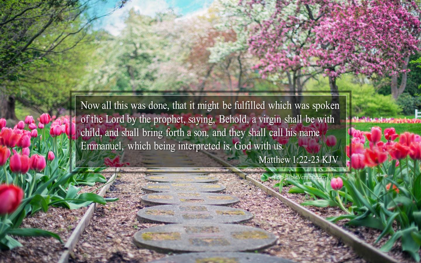 Matthew 1-22-23 KJV - Now all this was done, that it might be fulfilled which was spoken of the Lord by the prophet, saying, Behold, a virgin shall be with child, and shall bring forth a son, and they shall call his name Emmanuel, which being interpreted is, God with us.