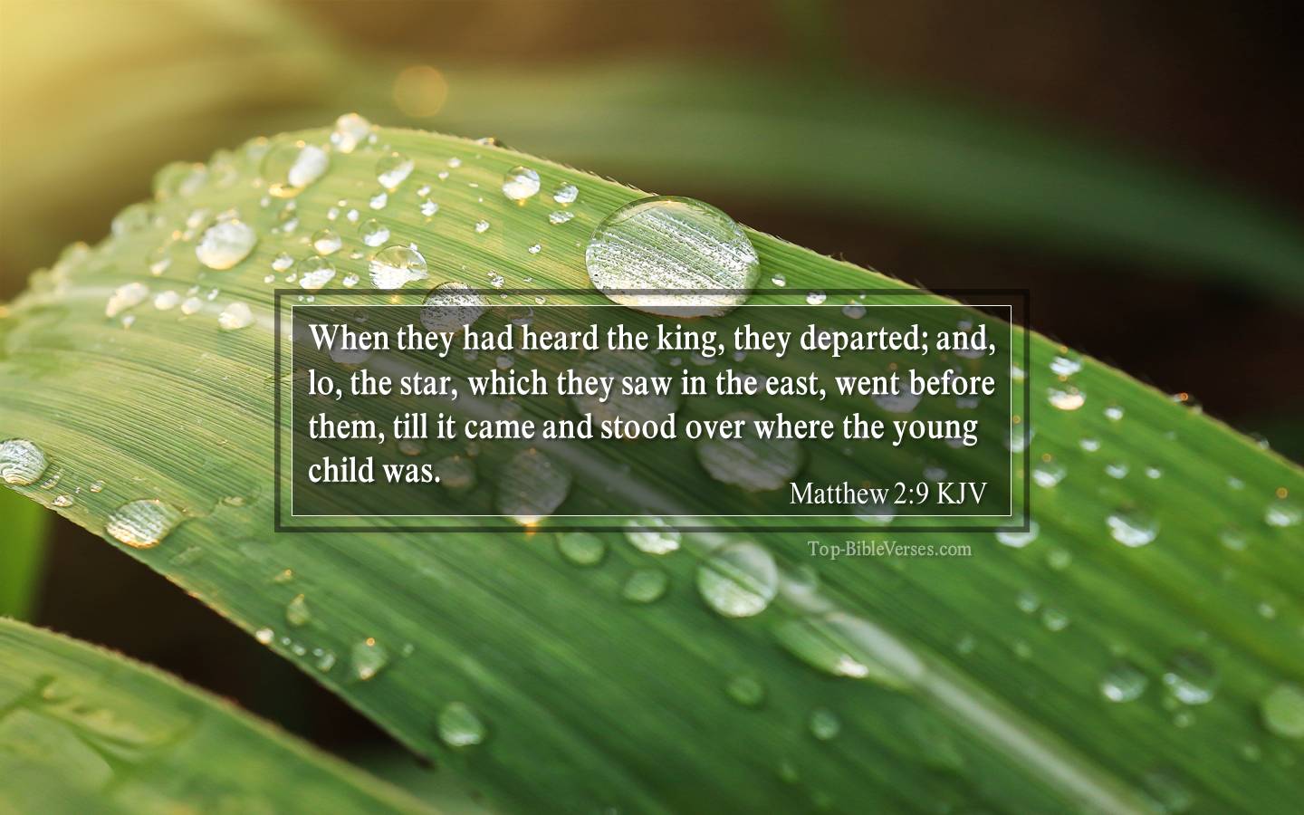 Matthew 2-9 KJV - When they had heard the king, they departed; and, lo, the star, which they saw in the east, went before them, till it came and stood over where the young child was.