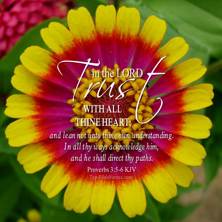 Proverbs 3-5-6 KJV WhatsApp DP Inspirational Bible Verse Images.