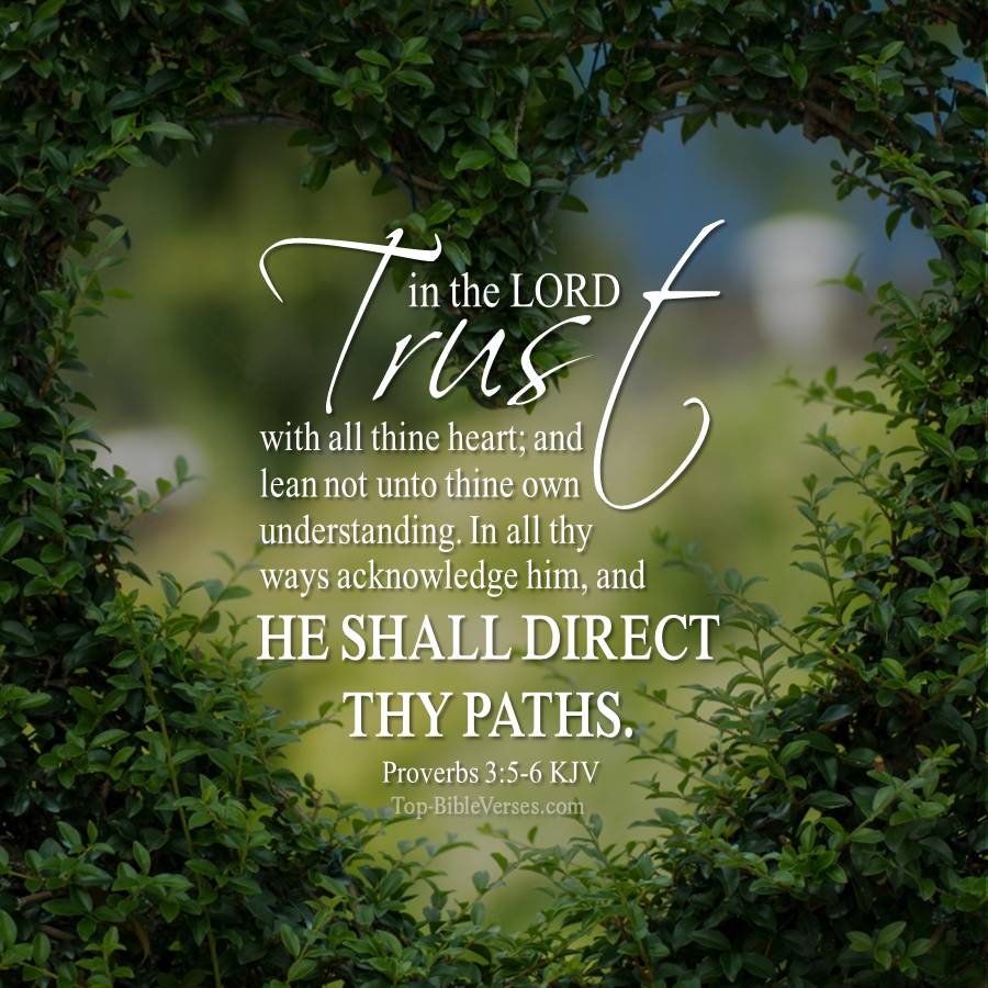 Proverbs 3-5-6 KJV WhatsApp DP Inspirational Bible Verse Images.