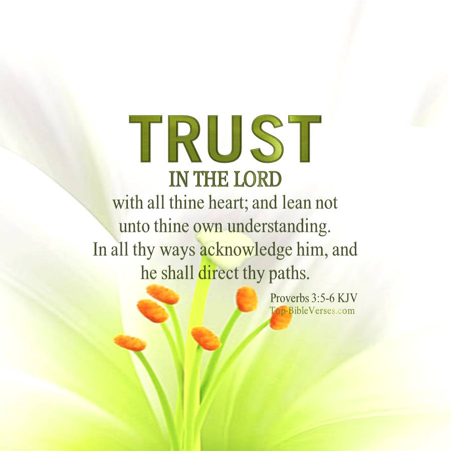 Proverbs 3-5-6 KJV WhatsApp DP Inspirational Bible Verse Images.