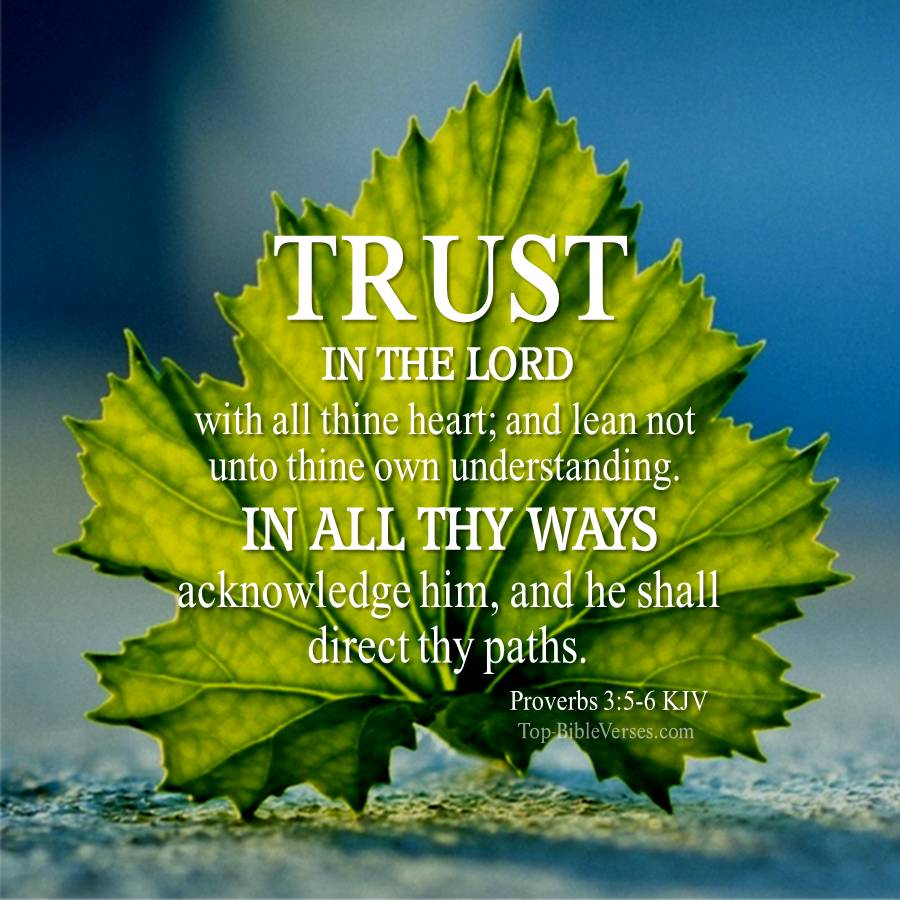 Proverbs 3-5-6 KJV WhatsApp DP Inspirational Bible Verse Images.
