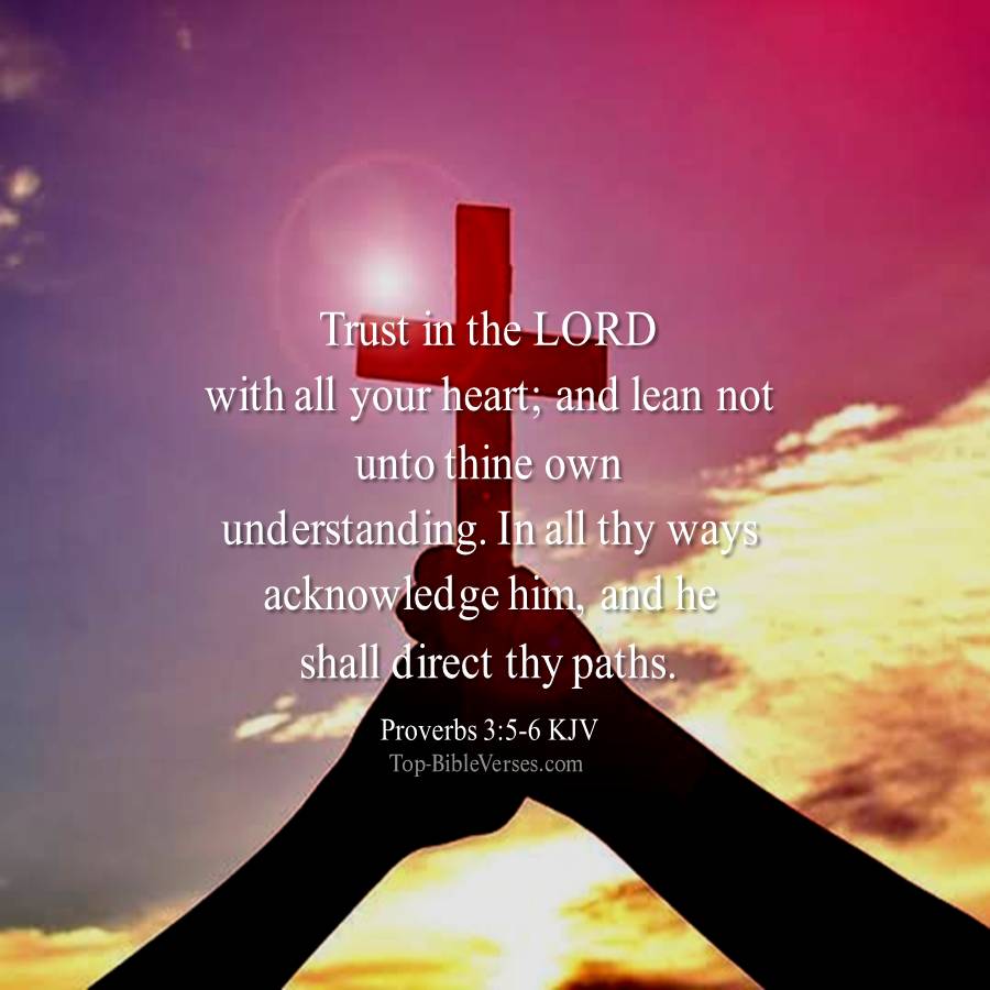 Proverbs 3-5-6 KJV WhatsApp DP Inspirational Bible Verse Images.