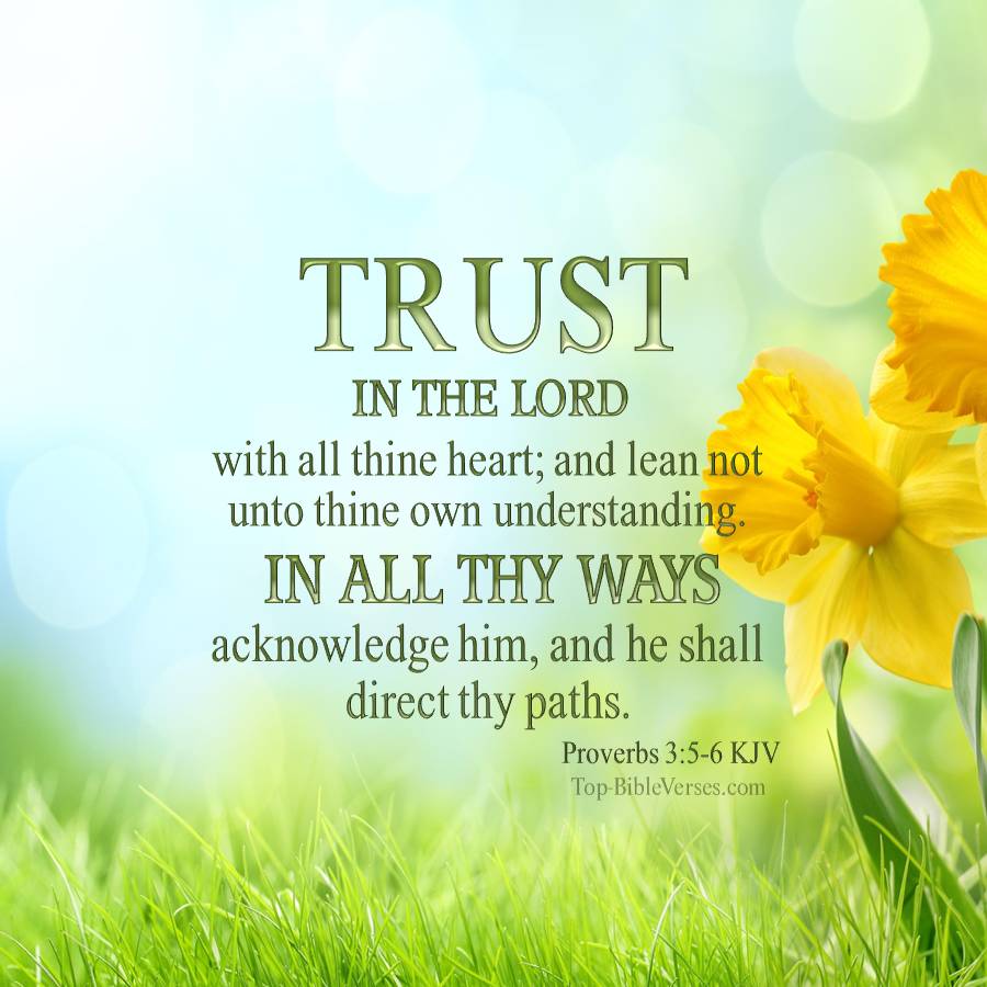 Proverbs 3-5-6 KJV WhatsApp DP Inspirational Bible Verse Images.