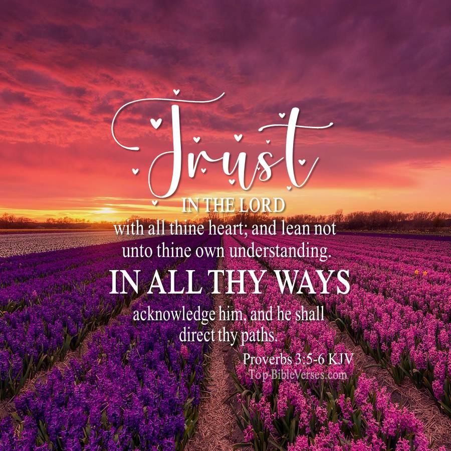 Proverbs 3:5-6 Bible Quotes DP | Trust In The LORD With All Your Heart