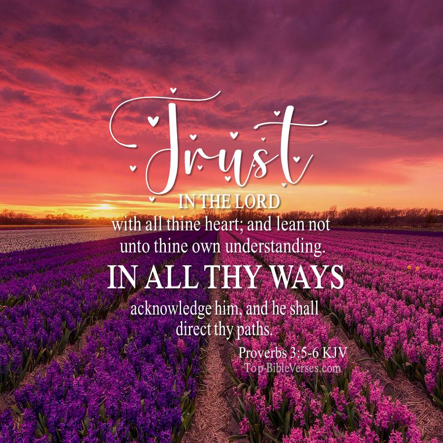 Proverbs 3:5-6 Trust in the LORD with all thine heart; And lean