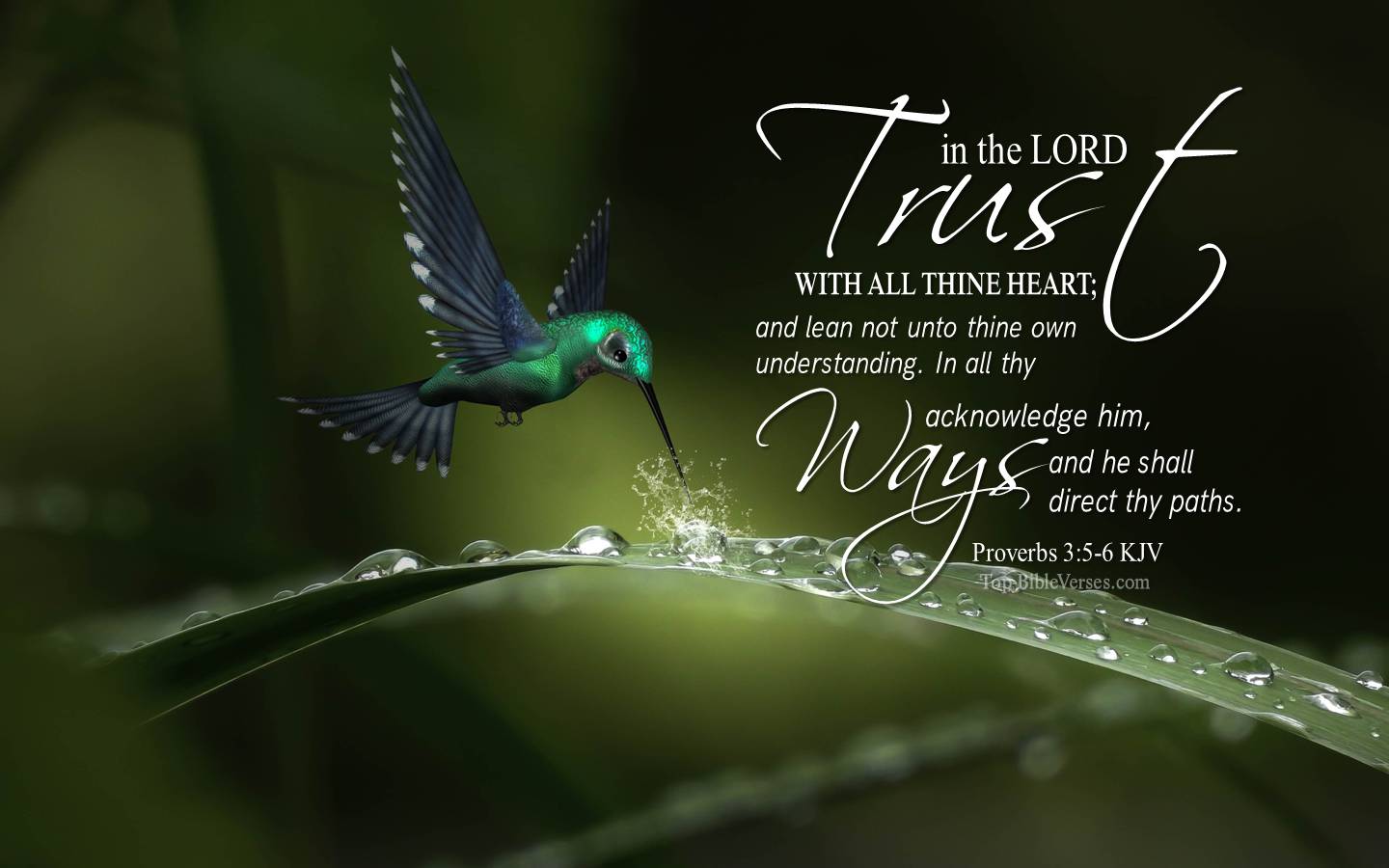 Proverbs 3-5-6 KJV Christian Bible Verse Desktop Wallpaper. Top-BibleVerses.com