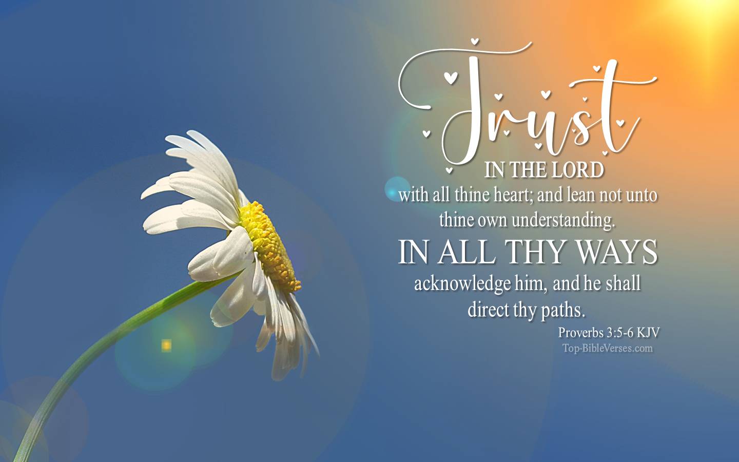 Proverbs 3-5-6 KJV Christian Bible Verse Desktop Wallpaper. Top-BibleVerses.com