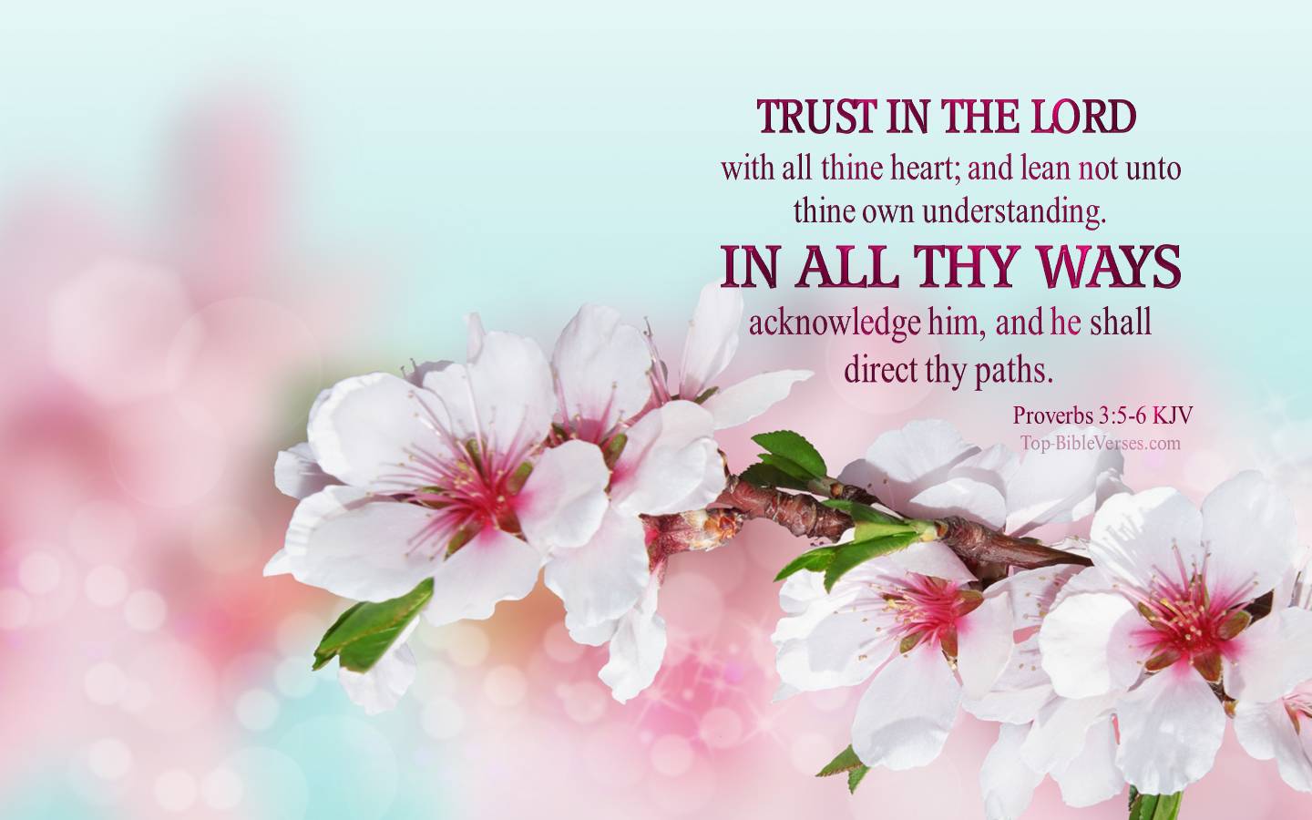 Proverbs 3-5-6 KJV Christian Bible Verse Desktop Wallpaper. Top-BibleVerses.com