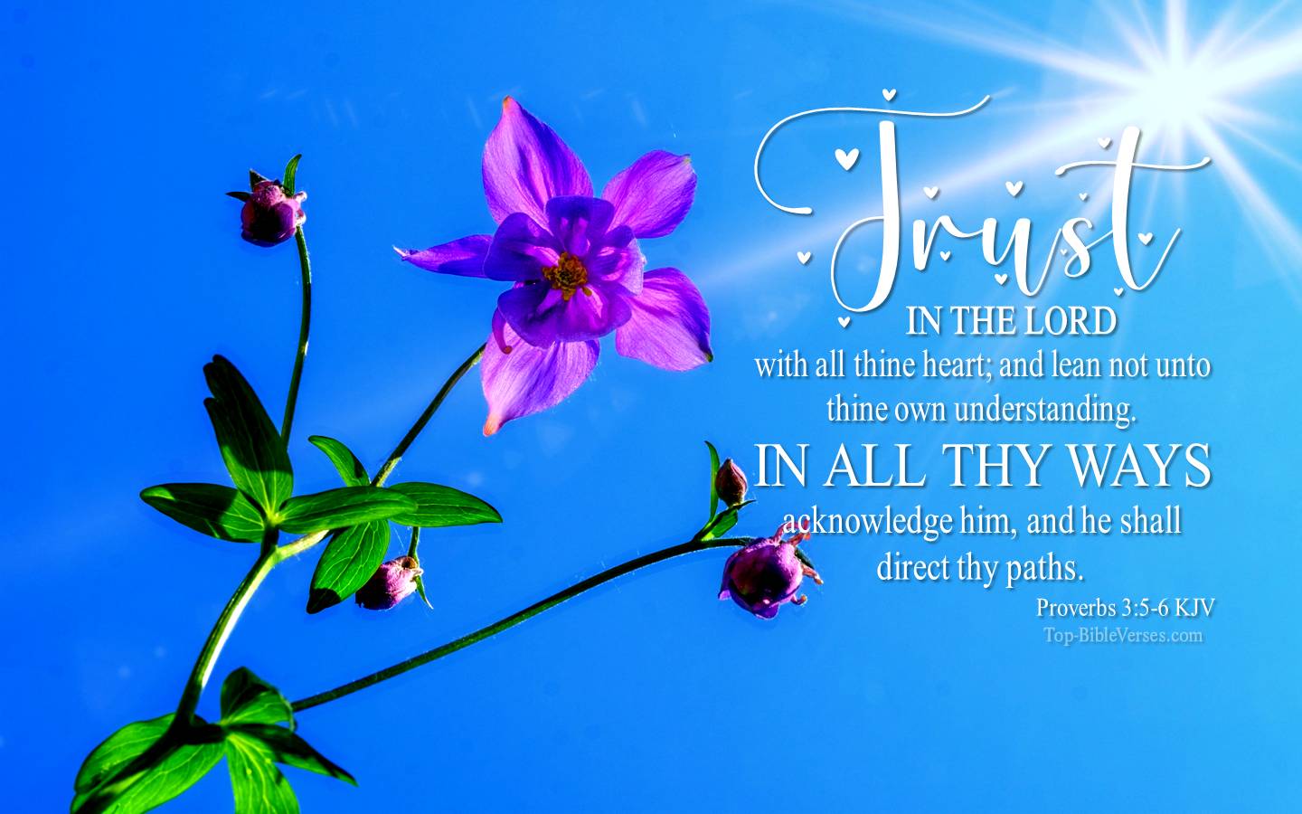 Proverbs 3-5-6 - Trust in the LORD with all thine heart. KJV Christian Bible Verse Desktop Wallpaper.