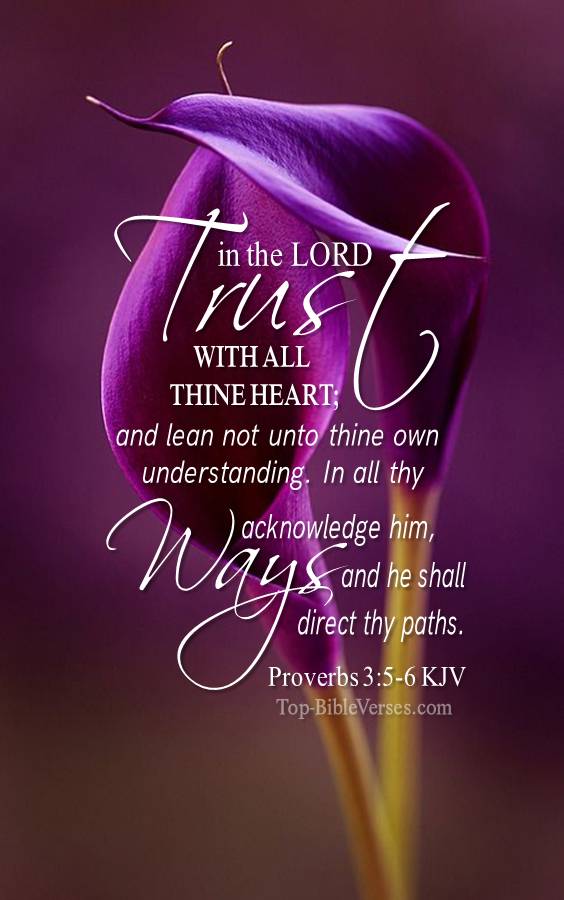 Proverbs 3-5-6 KJV Christian Bible Verse Mobile Wallpaper. Top-BibleVerses.com