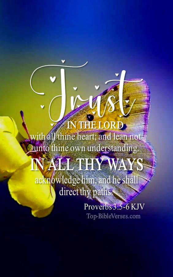 Proverbs 3-5-6 KJV Christian Bible Verse Mobile Wallpaper. Top-BibleVerses.com