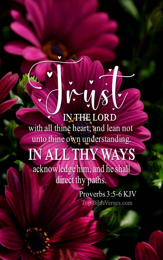 Proverbs 3-5-6 - Trust in the LORD with all thine heart. KJV Christian Bible Verse Mobile Wallpaper.