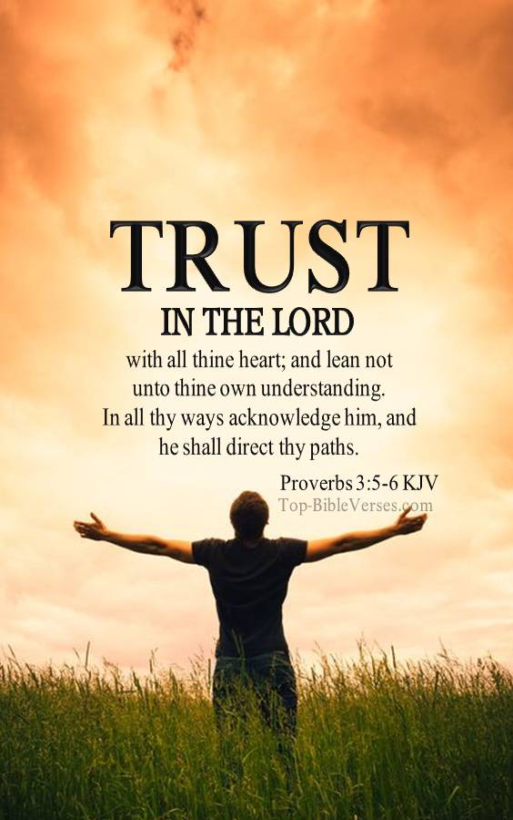 Proverbs 3-5-6 - Trust in the LORD with all thine heart. KJV Christian Bible Verse Mobile Wallpaper.