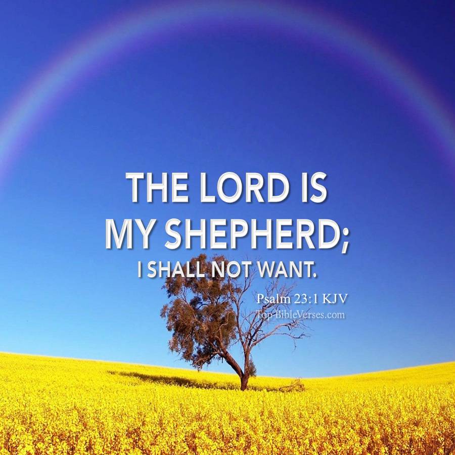 Psalm 23-1 KJV WhatsApp Bible Quotes DP. Inspirational Bible Verse Images.
