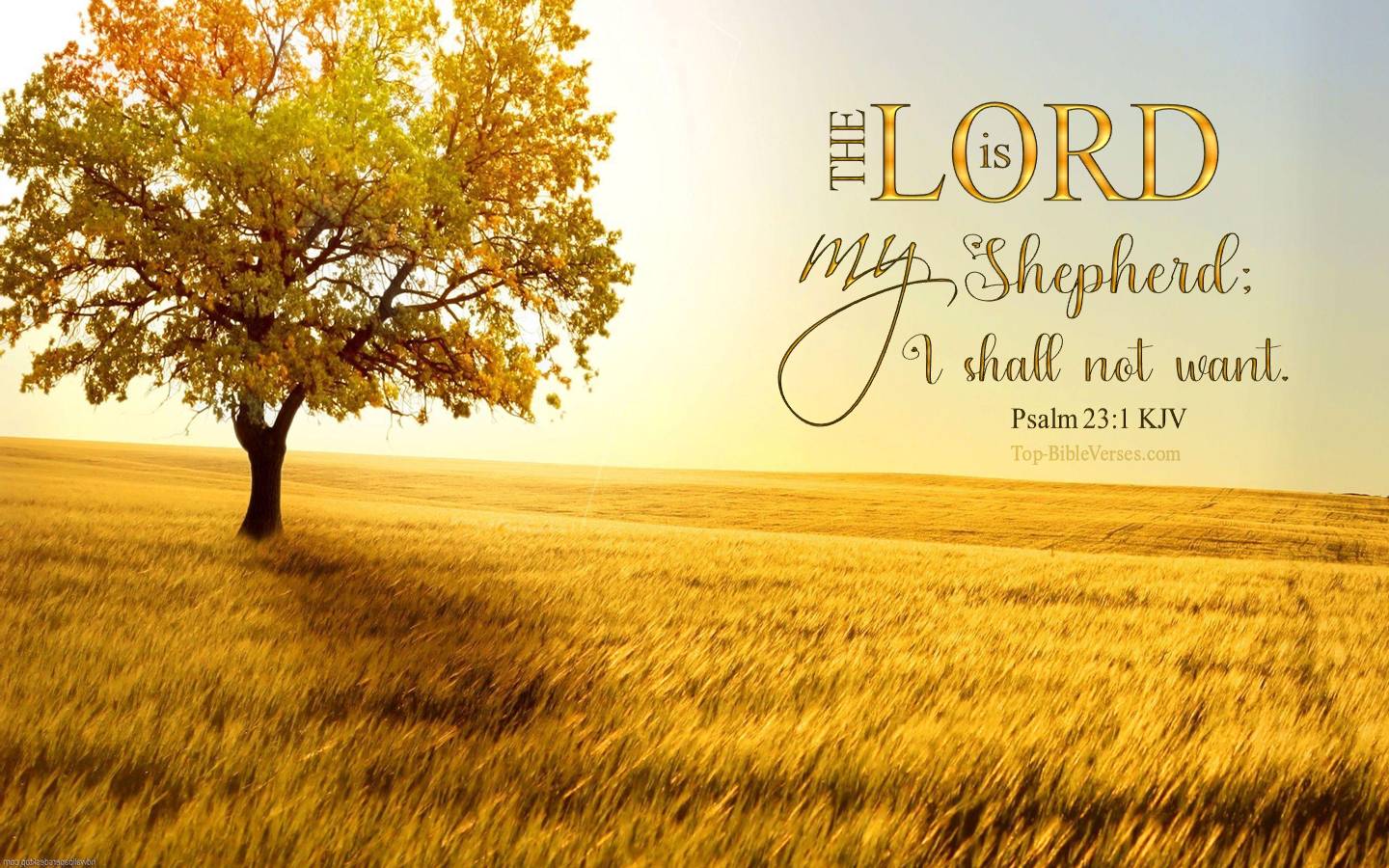 Psalm 23-1 - The LORD is my shepherd; I shall not want. KJV Christian Bible Verse Desktop Wallpaper.
