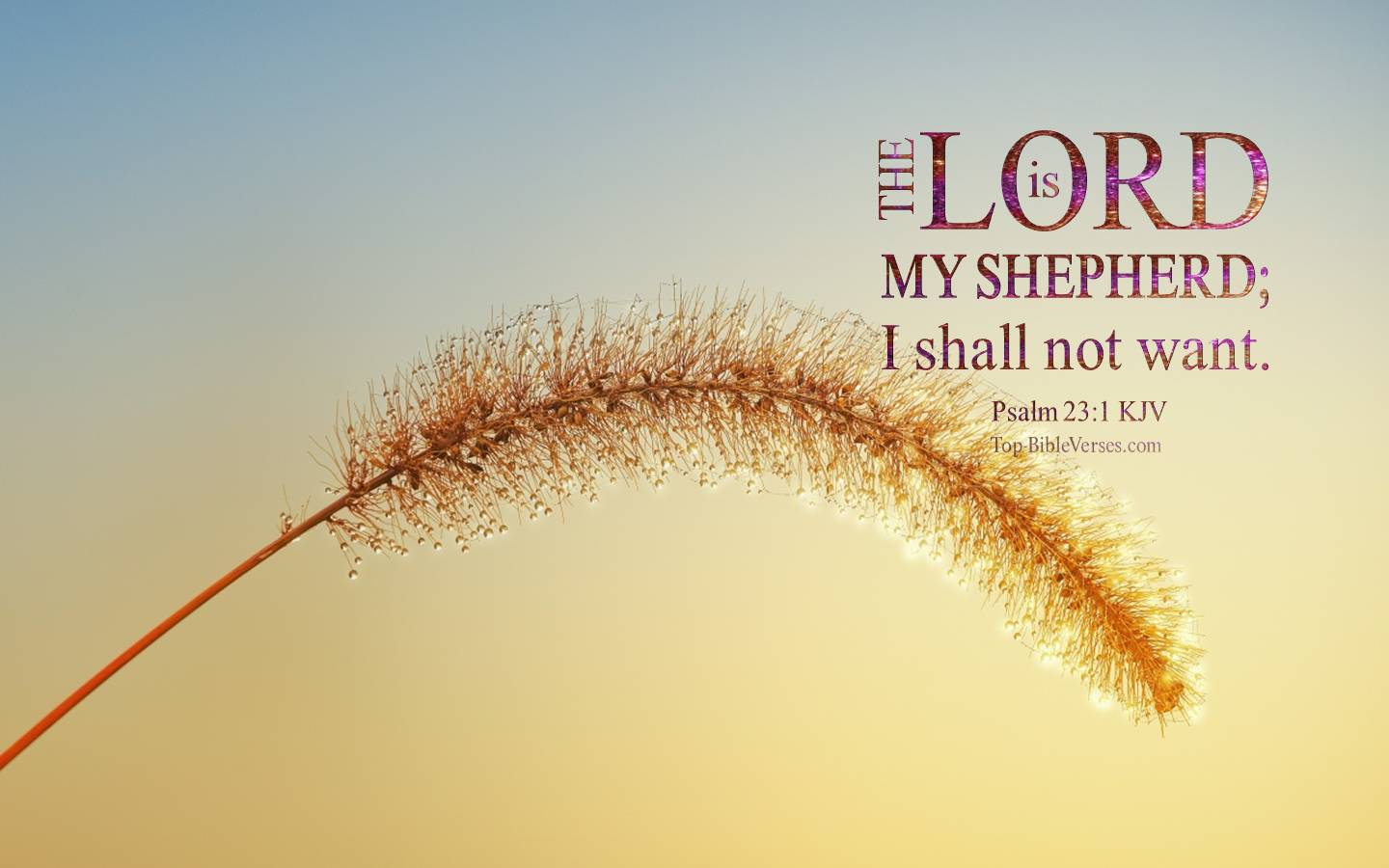 Psalm 23-1 KJV Christian Bible Verse Desktop Wallpaper. Top-BibleVerses.com