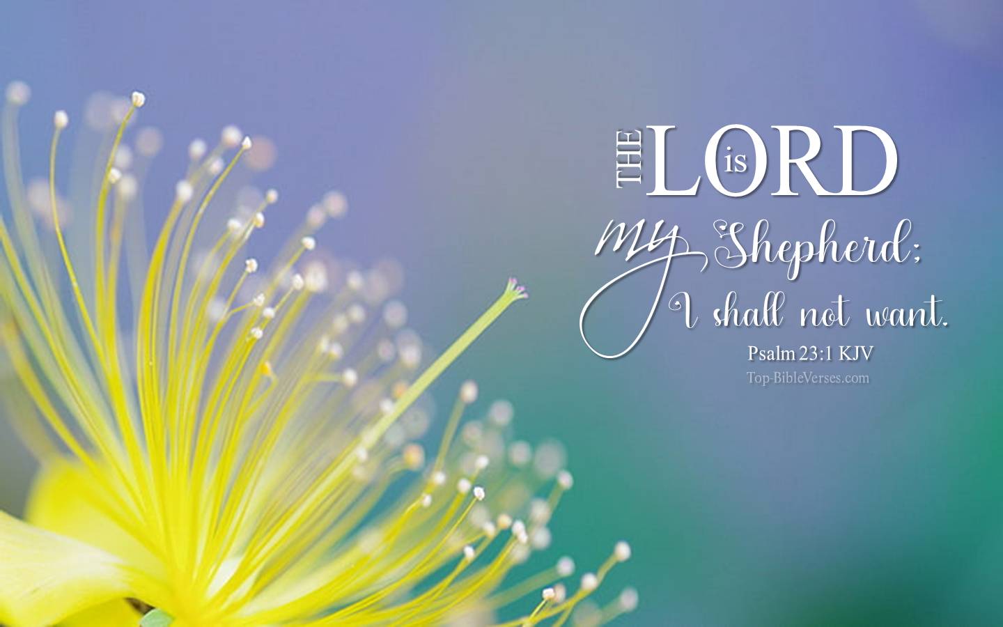 Psalm 23-1 KJV Christian Bible Verse Desktop Wallpaper. Top-BibleVerses.com