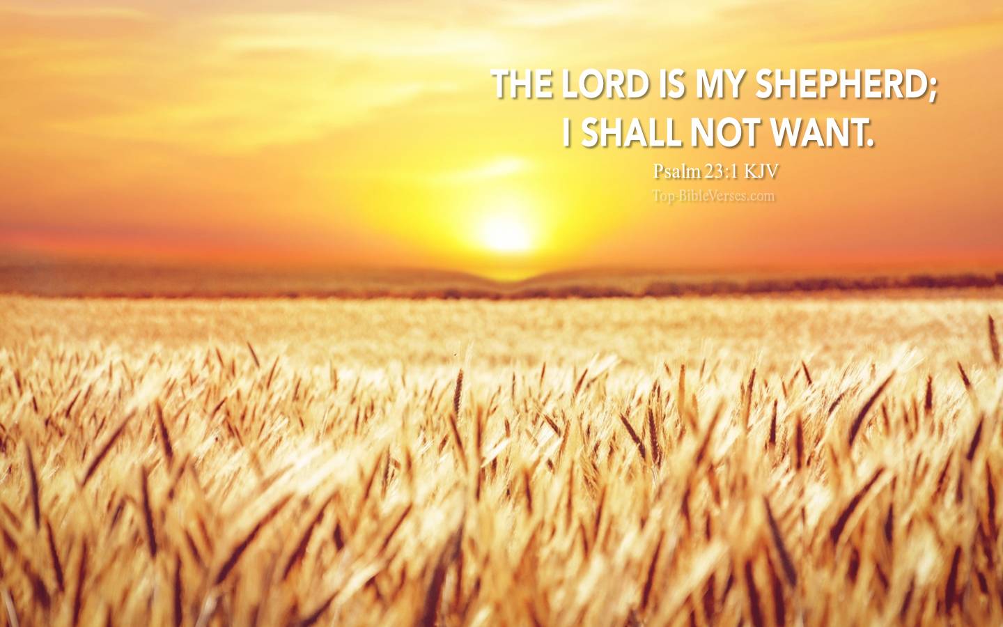 Psalm 23-1 - The LORD is my shepherd; I shall not want. KJV Christian Bible Verse Desktop Wallpaper.