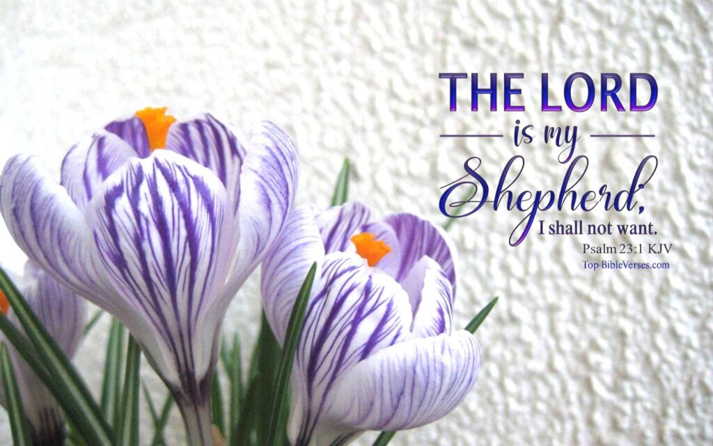 Psalm 23-1 - The LORD is my shepherd; I shall not want. KJV Christian Bible Verse Desktop Wallpaper.