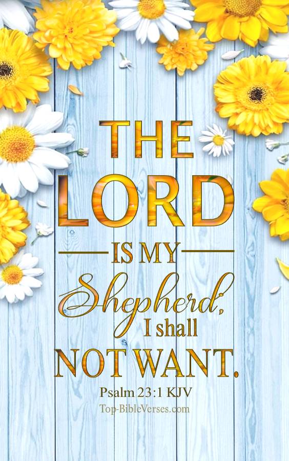 Psalm 23-1 - The LORD is my shepherd; I shall not want. KJV Christian Bible Verse Mobile Wallpaper.