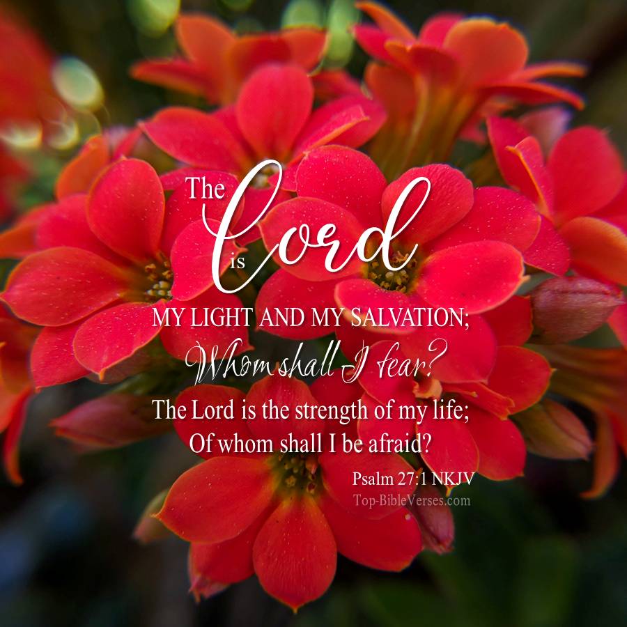 Psalm 27-1 NKJV WhatsApp DP Inspirational Bible Verse Images.