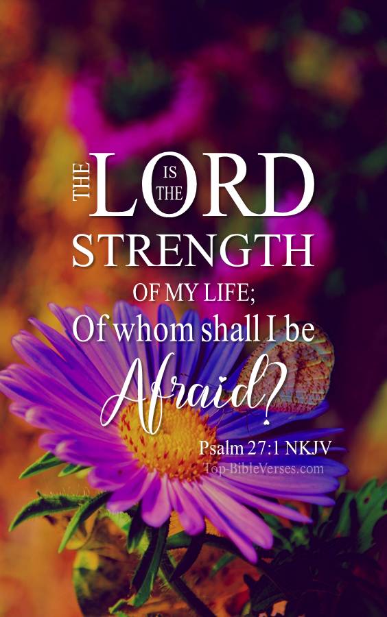 Psalm 27-1 NKJV Christian Bible Verse Mobile Wallpaper. Top-BibleVerses.com