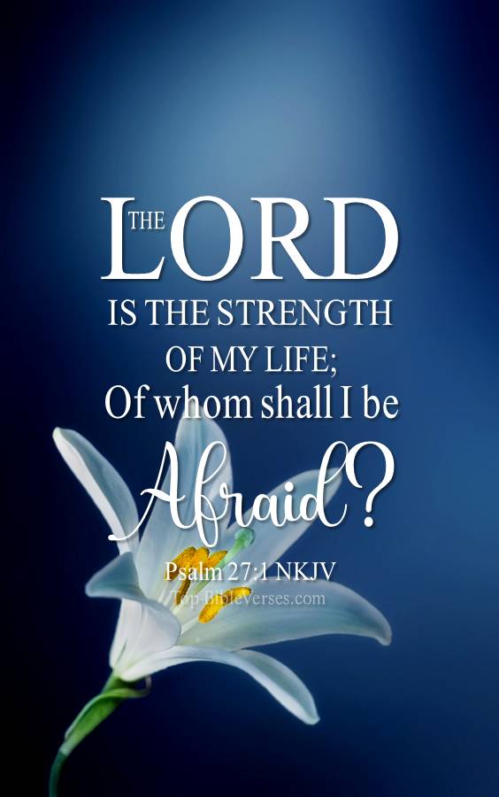 Psalm 27-1 - The Lord is the strength of my life; Of whom shall I be afraid? NKJV Christian Bible Verse Mobile Wallpaper.
