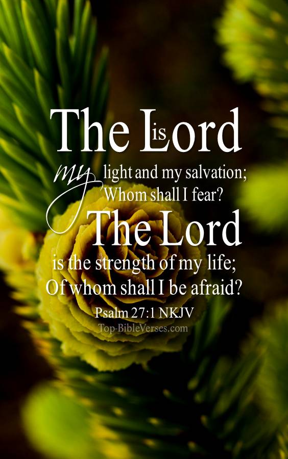Psalm 27-1 NKJV Christian Bible Verse Mobile Wallpaper. Top-BibleVerses.com
