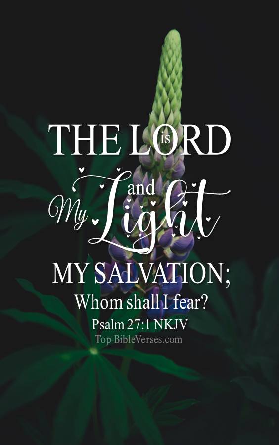 Psalm 27-1 - The Lord is my light and my salvation; Whom shall I fear? NKJV Christian Bible Verse Mobile Wallpaper.