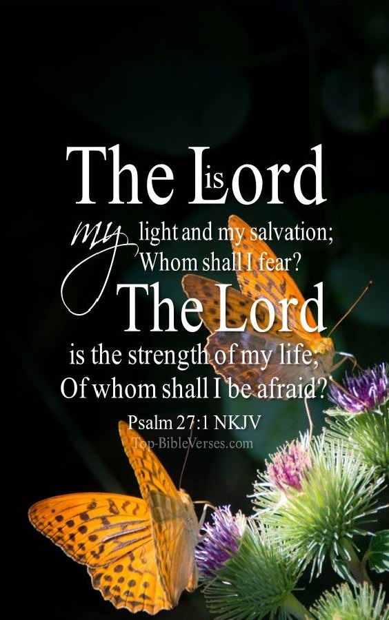 Psalm 27-1 - The Lord is the strength of my life; Of whom shall I be afraid? NKJV Christian Bible Verse Mobile Wallpaper.