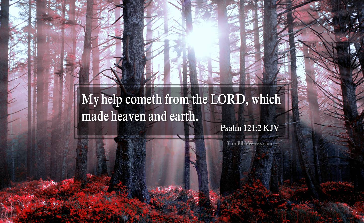 Psalm 121-2 KJV - My help cometh from the LORD, which made heaven and earth.