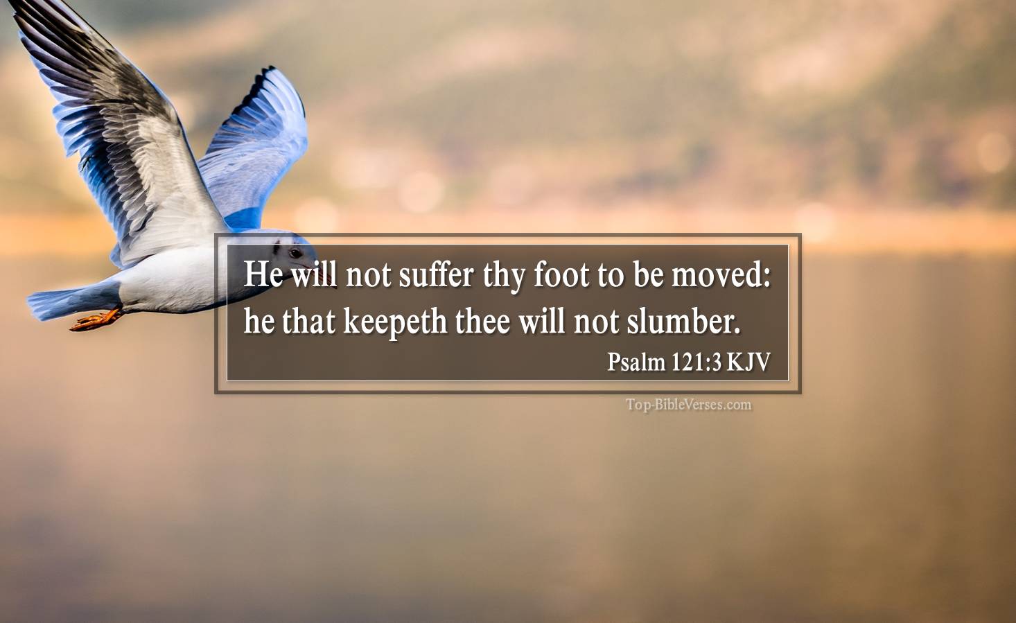 Psalm 121-3 KJV - He will not suffer thy foot to be moved: he that keepeth thee will not slumber.