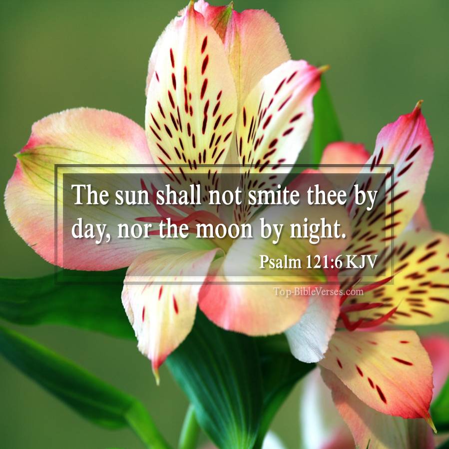 Psalm 121-6 KJV - The sun shall not smite thee by day, nor the moon by night.