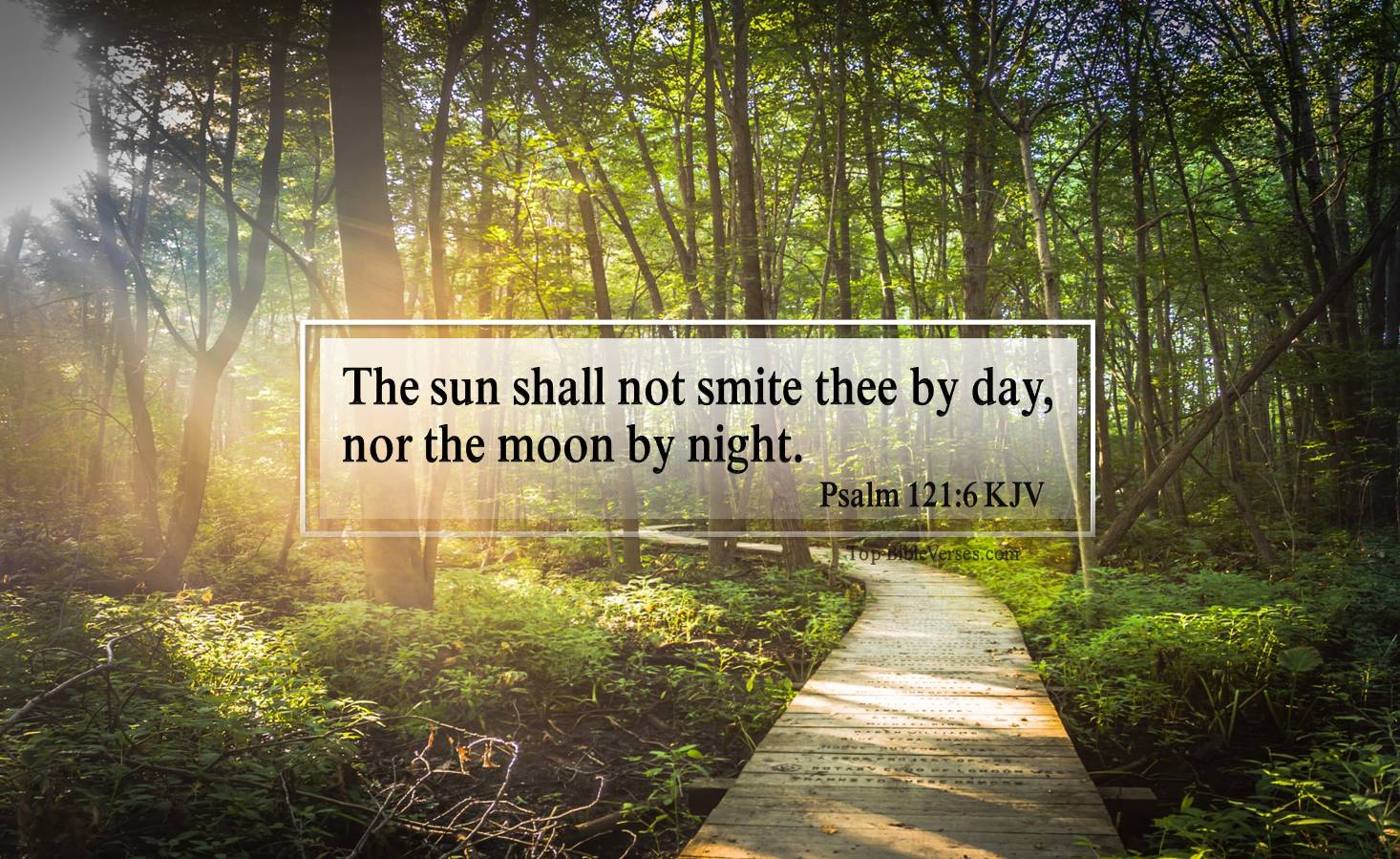 Psalm 121-6 KJV - The sun shall not smite thee by day, nor the moon by night.