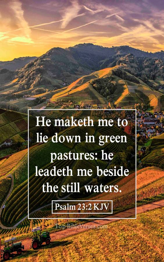 Psalm 23-2 KJV - He maketh me to lie down in green pastures: he leadeth me beside the still waters.