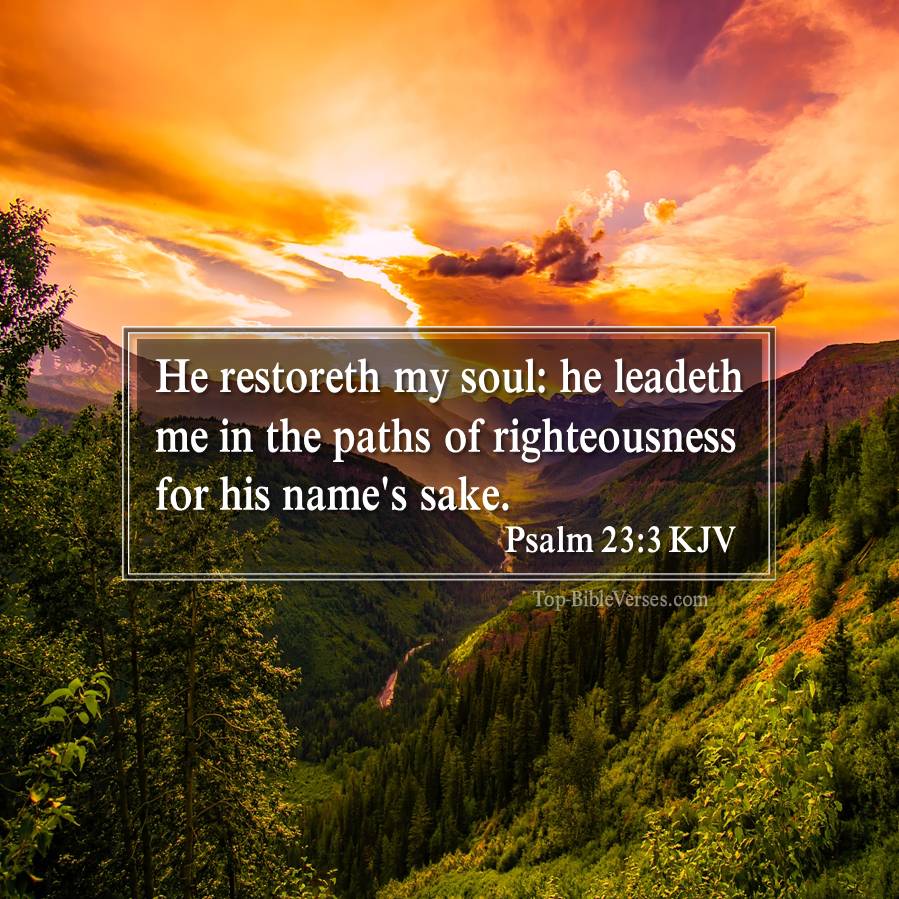 Psalm 23-3 KJV - He restoreth my soul: he leadeth me in the paths of righteousness for his name's sake.